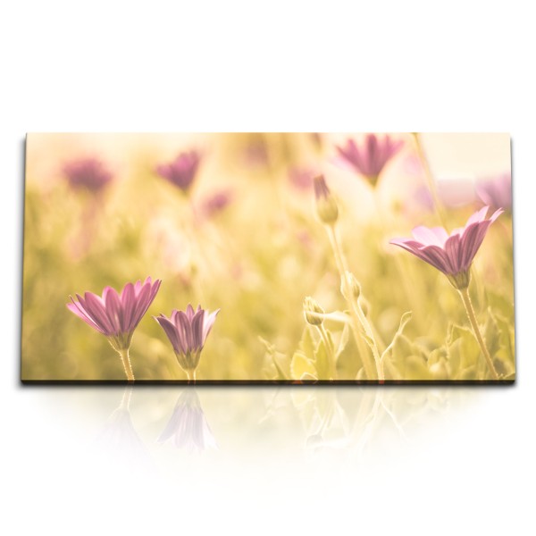 Paul Sinus Art Kunstdruck Bilder 120x60cm Wilde Blumen Feldblumen Sommer Blumen Blüten