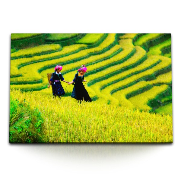 Paul Sinus Art 120x80cm Wandbild auf Leinwand Vietnam Reisfelder Bauernmädchen Grün Natur Ladeschaft