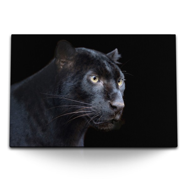 Paul Sinus Art 120x80cm Wandbild auf Leinwand Schwarzer Panther Raubkatze Tierfotografie Puma