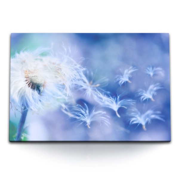 Paul Sinus Art 120x80cm Wandbild auf Leinwand Pusteblume Fotokunst Blau Nahaufnahme Blume