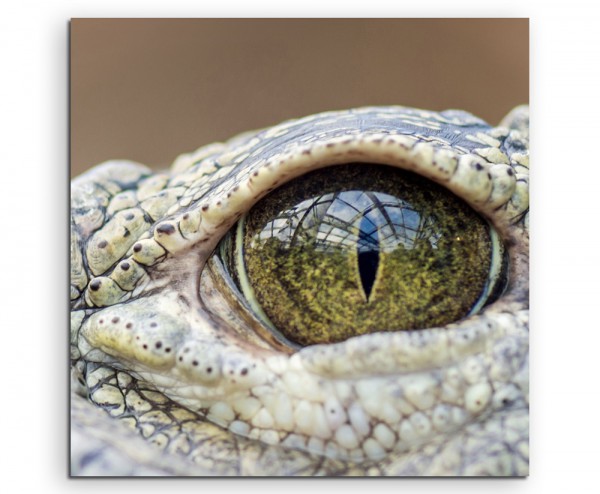 Paul Sinus Art Tierfotografie – Auge eines Alligators auf Leinwand