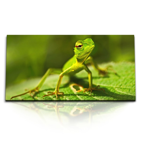 Paul Sinus Art Kunstdruck Bilder 120x60cm Kleine Echse Reptil Grün Natur Tierfotografie