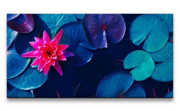 Paul Sinus Art Leinwandbild 120x60cm Rote Seerose Blüte Asien Kunstvoll Dekorativ Schön