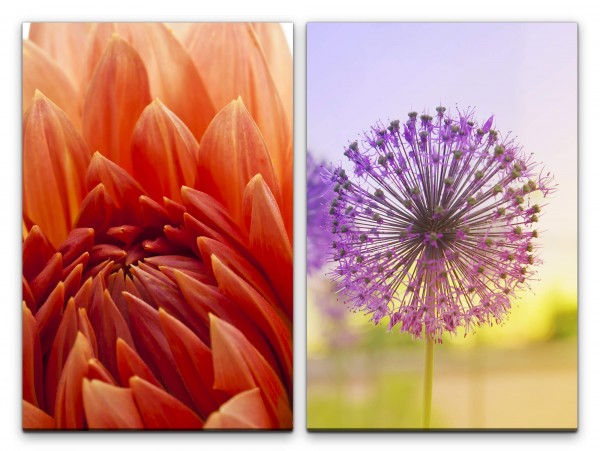 Paul Sinus Art 2 Bilder je 60x90cm Dahlie rote Blüte bunte Pusteblume Sommer Sonne Sonnenschein Makrofotografie