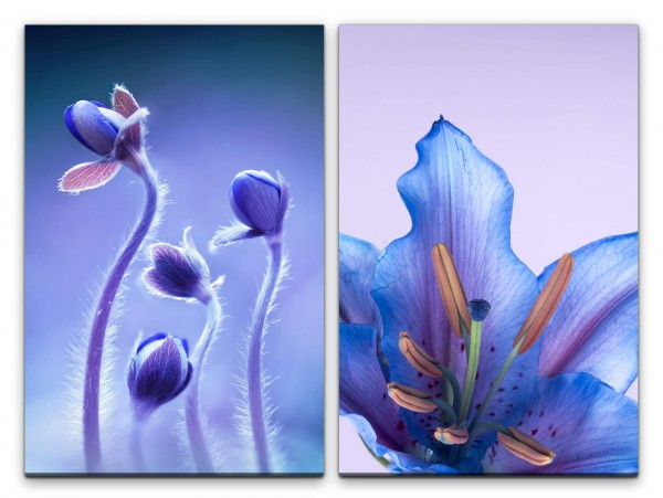 Paul Sinus Art 2 Bilder je 60x90cm Orchidee Blau Knospen Fein Zart Blumen Makrofotografie