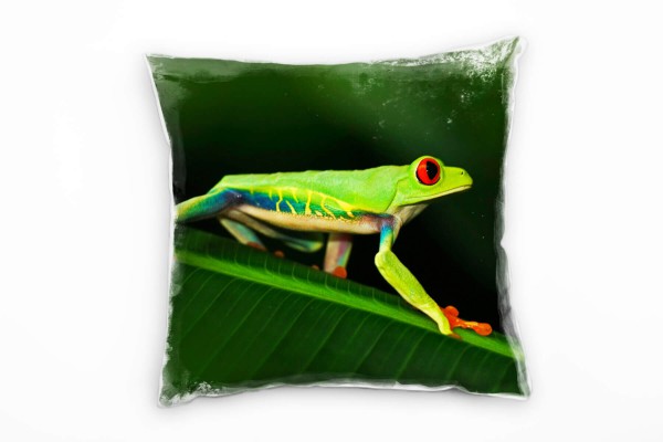 Paul Sinus Art Tiere, Frosch, grün, orange, blau Deko Kissen 40x40cm für Couch Sofa Lounge Zierkissen