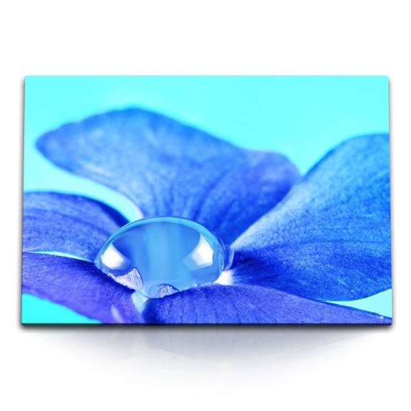 Paul Sinus Art 120x80cm Wandbild auf Leinwand Blaue Blume Wassertropfen Makrofotografie Blüte Blau