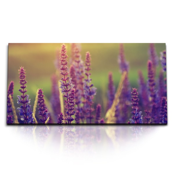 Paul Sinus Art Kunstdruck Bilder 120x60cm Lavendel Sonnenuntergang Sommer Natur Blumen