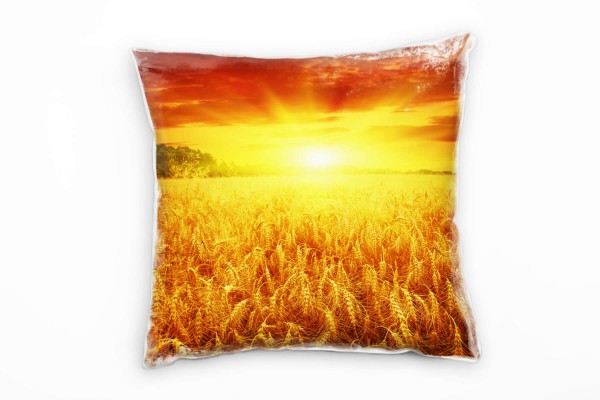 Paul Sinus Art Landschaften, Feld, orange, gelb, grün, Sonne Deko Kissen 40x40cm für Couch Sofa Lounge Zierkissen