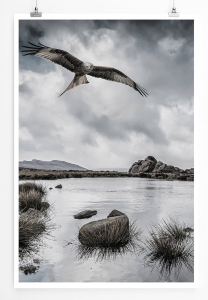 Paul Sinus Art Fotocollage  Landschaft mit Greifvogel und Felsen 60x90cm Poster