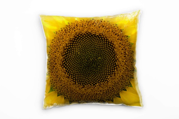 Paul Sinus Art Blumen, Macro, braun, gelb, Detailaufnahme, Sonnenblume Deko Kissen 40x40cm für Couch Sofa Lounge Zi