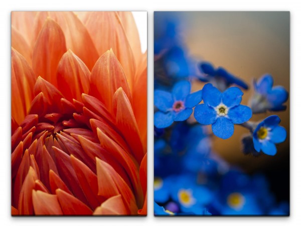 Paul Sinus Art 2 Bilder je 60x90cm Dahlie Blumen Blüten Rot Blau Nahaufnahme Makrofotografie