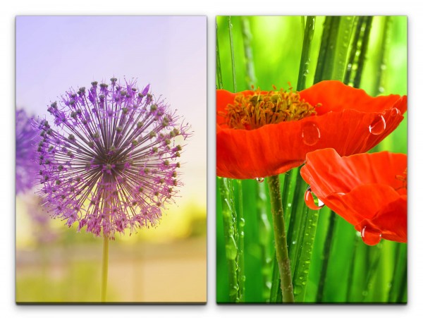 Paul Sinus Art 2 Bilder je 60x90cm Pusteblume Mohnblume Blumen Rot Grün Violett Wassertropfen