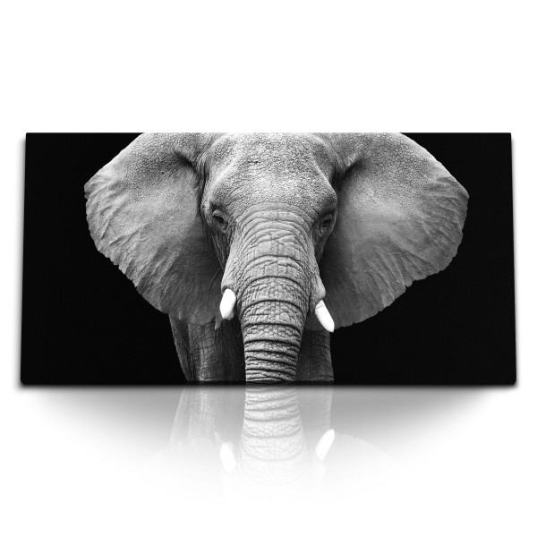 Paul Sinus Art Kunstdruck Bilder 120x60cm Grauer Elefant Schwarz Weiß Tierfotografie Stoßzähne