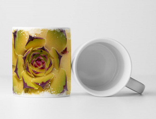 Paul Sinus Art Tasse Geschenk Naturfotografie – Florale Sukkulente