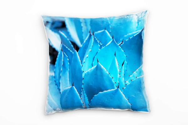 Paul Sinus Art Macro, Natur, Agavenblätter, blau Deko Kissen 40x40cm für Couch Sofa Lounge Zierkissen