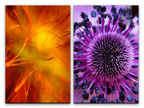 Paul Sinus Art 2 Bilder je 60x90cm Astern Blumen Blüten Orange Violett Nahaufnahme Makrofotografie