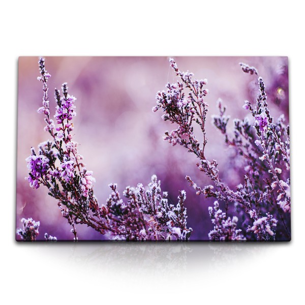 Paul Sinus Art 120x80cm Wandbild auf Leinwand Frost Pflanzen Winter Winterfrost Natur