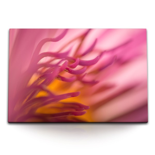 Paul Sinus Art 120x80cm Wandbild auf Leinwand Rosa Blume Blüte Makrofotografie Kunstvoll Dekorativ