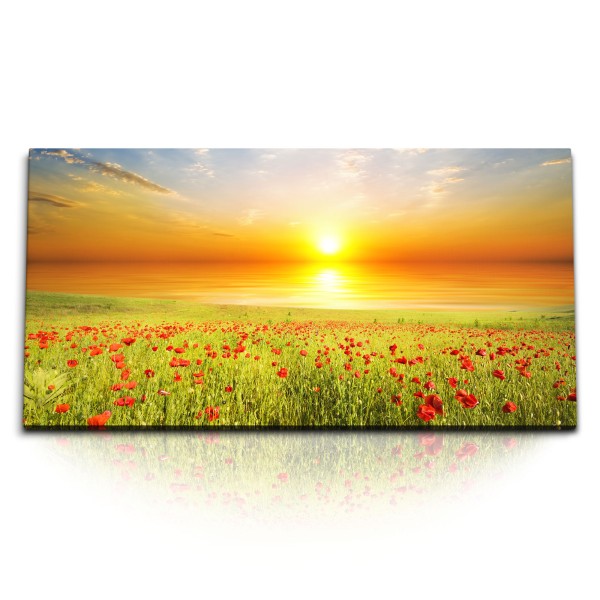 Paul Sinus Art Kunstdruck Bilder 120x60cm Sonnenuntergang Abendrot Blumenfeld Meer Horizont