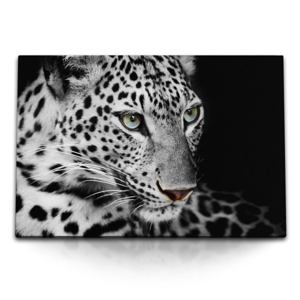 Paul Sinus Art 120x80cm Wandbild auf Leinwand Tierfotografie Raubkatze Jaguar Schwarz Weiß