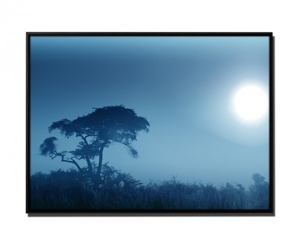 Paul Sinus Art 105x75cm Leinwandbild Petrol Sonnenaufgang Afrika