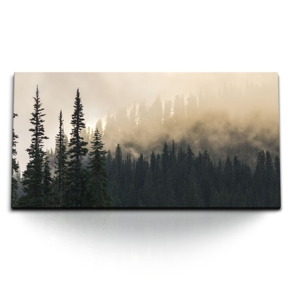 Kunstdruck Bilder 120x60cm Tannenwald Tannen Nebel Natur Alaska