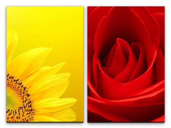 Paul Sinus Art 2 Bilder je 60x90cm Sonnenblume Gelb Rose Rot Nahaufnahme Romantisch Liebe