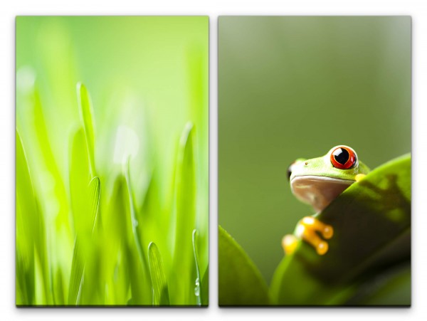 Paul Sinus Art 2 Bilder je 60x90cm Gras Grashalme Frosch Grün Wiese Makro Makrofotografie