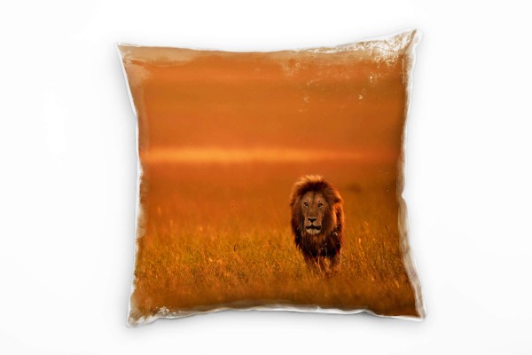 Paul Sinus Art Tiere, Löwe, Savanne, Sonnenuntergang, orange Deko Kissen 40x40cm für Couch Sofa Lounge Zierkissen