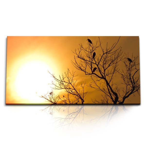 Paul Sinus Art Kunstdruck Bilder 120x60cm Sonnenuntergang Abendrot roter Himmel Baum Vögel