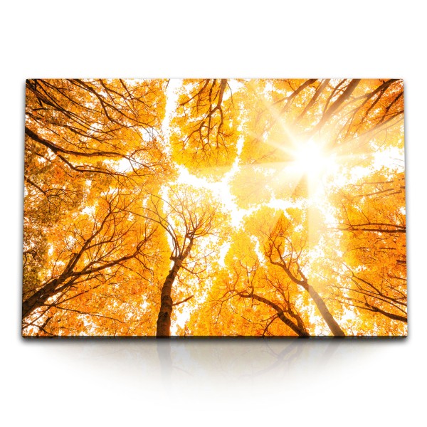 Paul Sinus Art 120x80cm Wandbild auf Leinwand Baumkronen Bäume Herbstblätter Herbst Sonnenschein