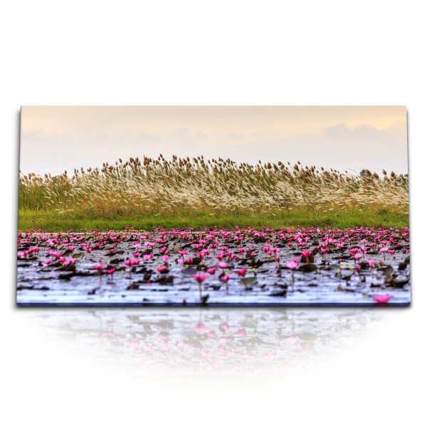 Paul Sinus Art Kunstdruck Bilder 120x60cm Teich See Wasserpflanzen Natur Lotus Wasserblumen