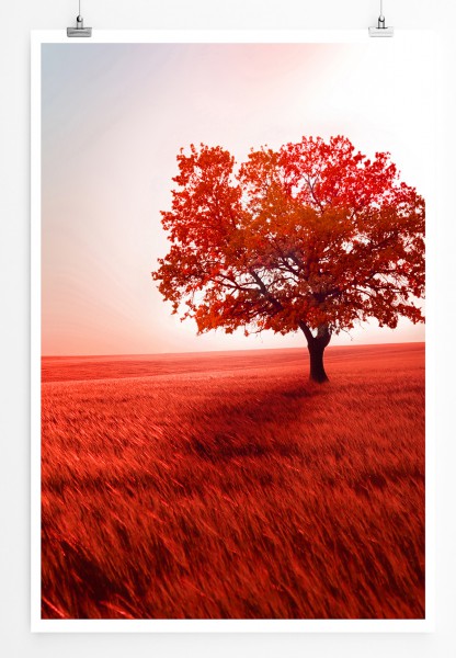 Paul Sinus Art 90x60cm Poster Einsamer Baum in roter Landschaft