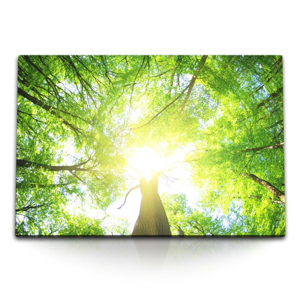 Paul Sinus Art 120x80cm Wandbild auf Leinwand Sonnenschein Baumkronen Himmel Natur Grün