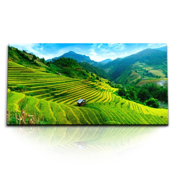 Paul Sinus Art Kunstdruck Bilder 120x60cm Vietnam Reisfelder Berge Landschaft Grün Natur