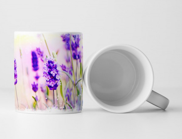 Paul Sinus Art Tasse Geschenk Naturfotografie – Wunderschöner Lavendel