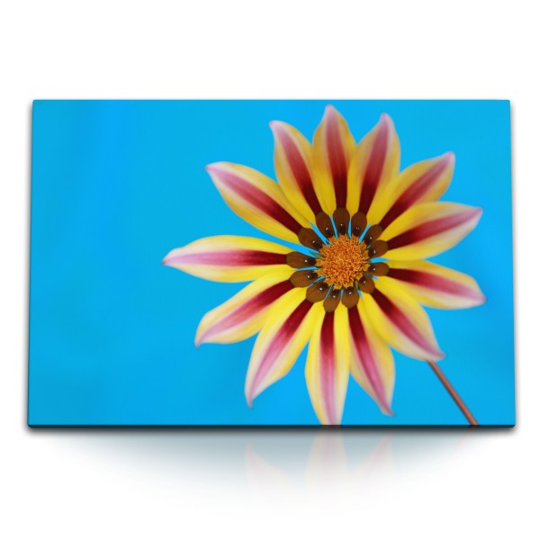 Paul Sinus Art 120x80cm Wandbild auf Leinwand Blauer Himmel Exotische Blume Blüte Sommer