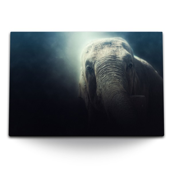 Paul Sinus Art 120x80cm Wandbild auf Leinwand Tierfotografie Elefant Kunstvoll schwarzer Hintergrund