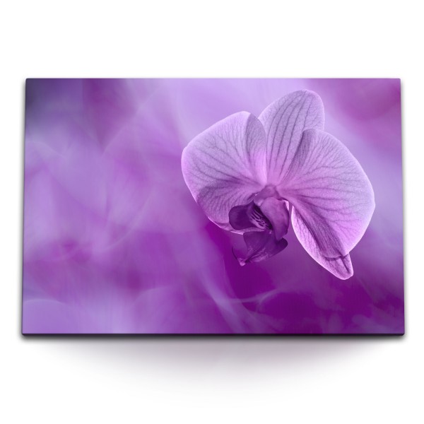 Paul Sinus Art 120x80cm Wandbild auf Leinwand Orchidee Blume Blüte Violett Lila Dekorativ