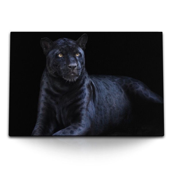 Paul Sinus Art 120x80cm Wandbild auf Leinwand Schwarzer Panther Jaguar Tierfotografie Raubkatze