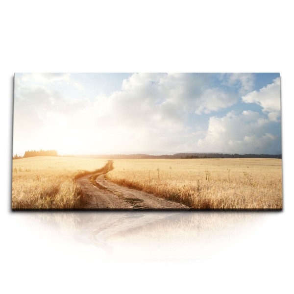 Paul Sinus Art Kunstdruck Bilder 120x60cm Weizenfeld Landschaft Natur Sonnenschein Feldweg