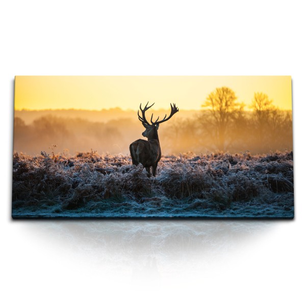 Paul Sinus Art Kunstdruck Bilder 120x60cm Natur Hirsch Hirschgeweih Abendrot Sonnenuntergang