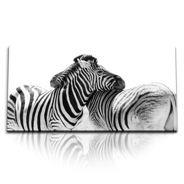 Paul Sinus Art Kunstdruck Bilder 120x60cm Zebras Tierfotografie Schwarz Weiß Afrika