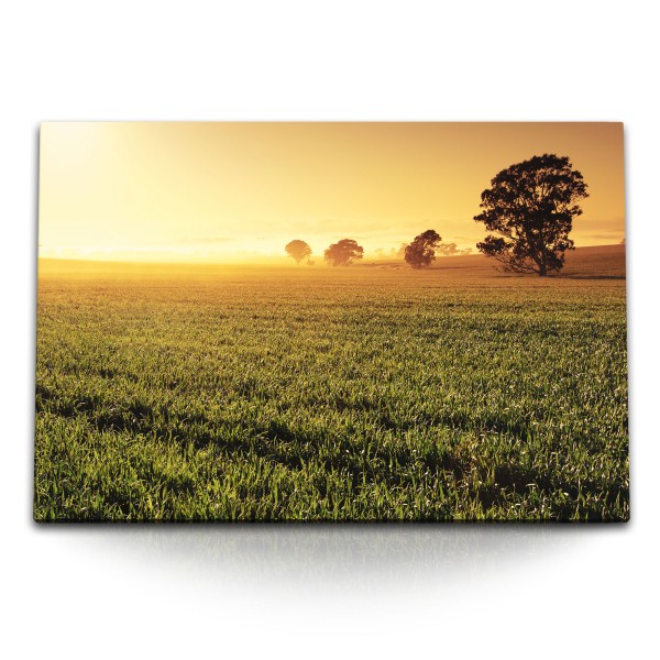 Paul Sinus Art 120x80cm Wandbild auf Leinwand Landschaftsbild Natur Sonnenuntergang Abendrot Bäume