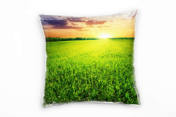 Paul Sinus Art Landschaft, grün, orange, Grasfeld, Sonnenuntergang Deko Kissen 40x40cm für Couch Sofa Lounge Zierki