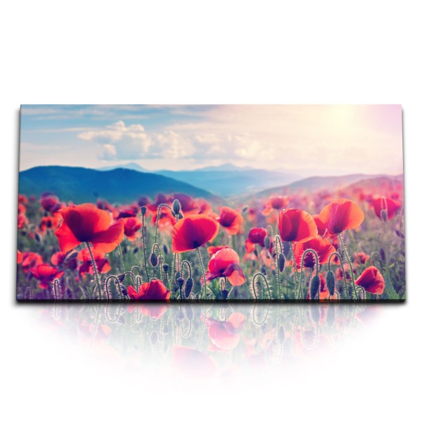 Paul Sinus Art Kunstdruck Bilder 120x60cm Mohnblumen Feld Wildlumen rote Blüten Natur