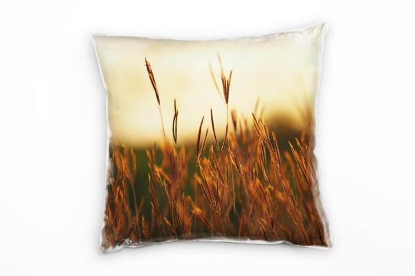 Paul Sinus Art Natur, Glas, Sonnenuntergang, braun Deko Kissen 40x40cm für Couch Sofa Lounge Zierkissen