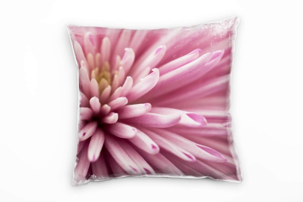 Paul Sinus Art Macro, Blumen, Blütenblätter, rosa Deko Kissen 40x40cm für Couch Sofa Lounge Zierkissen