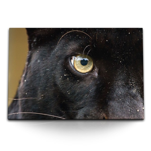 Paul Sinus Art 120x80cm Wandbild auf Leinwand Schwarzer Panther Auge Katzenauge Raubkatze